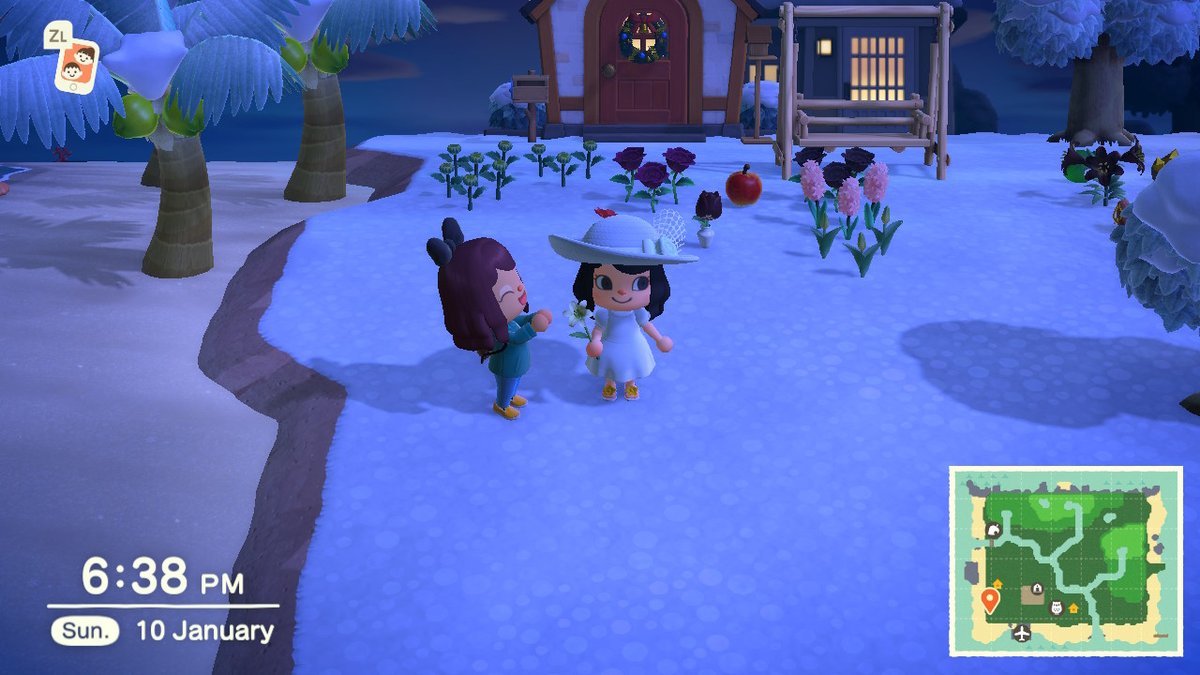 AnaaRCCastro's tweet photo. #AnimalCrossing #ACNH #NintendoSwitch https://t.co/rce6c2BFWK
