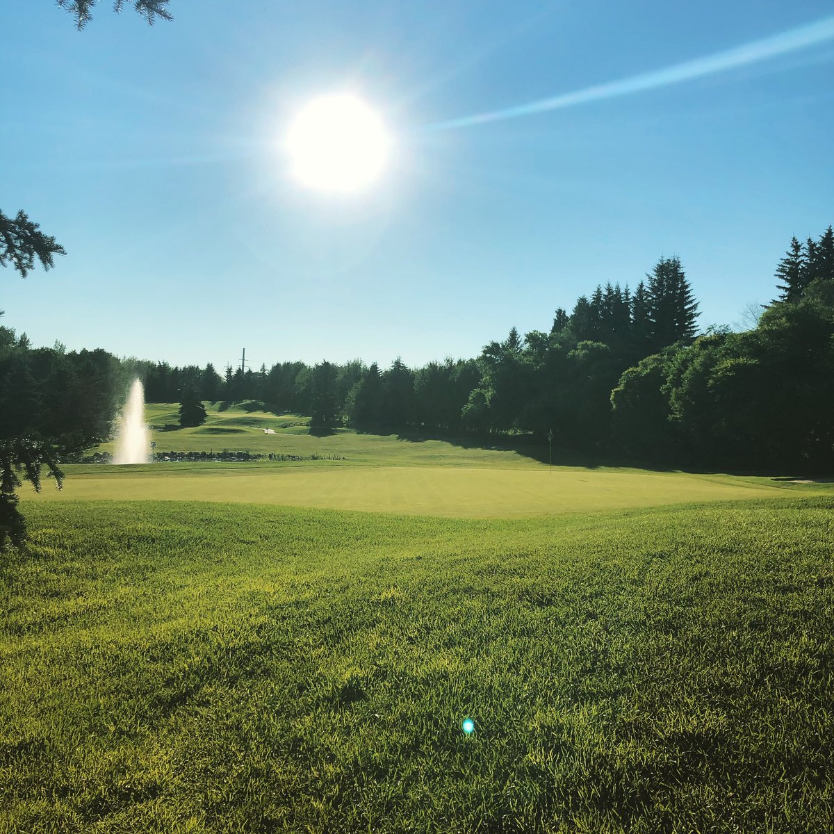 InnisfailGolf's tweet photo. Sunday day dreaming today, thinking about when we can welcome you all back to enjoy the sunshine! #ExperienceIGC https://t.co/a4cA3IPadh