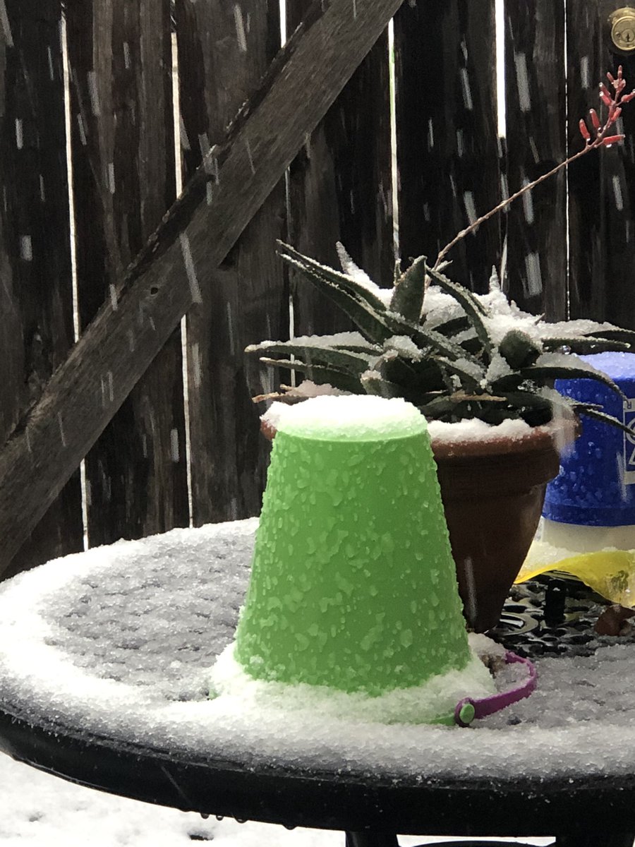 RNAeatsbugs's tweet photo. Quite possibly a once in a lifetime amount of snow in Austin today! Enough for @ClaraEatsBugs to build the tiniest lumpy snowperson in the world.

#AustinSnow #SnowBug #ATX #atxsnow https://t.co/9EsXyScz14