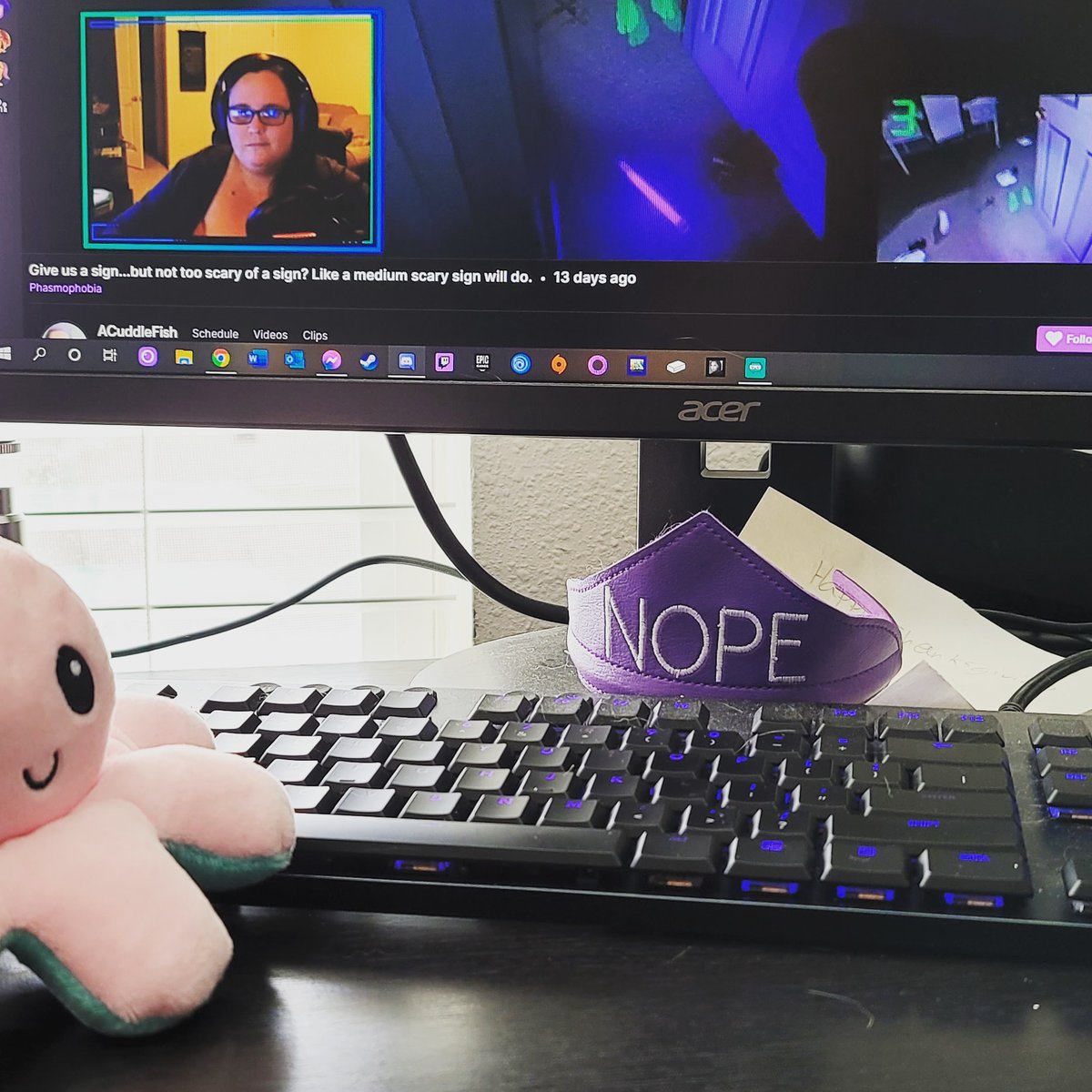 ACuddleFish_'s tweet photo. Got my new editing buddy here with me β‘ #girlstreamer #twitchstreamer #twitch #Phasmophobia #streambuddy https://t.co/Ss8yecM9oV