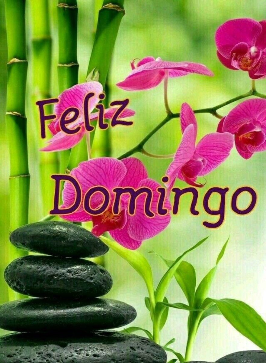 yvidalaqui2's tweet image. Gracias Belkis Feliz Domingo lleno de Bendiciones 🌹🌷🍀☕️🙏💫😊👍