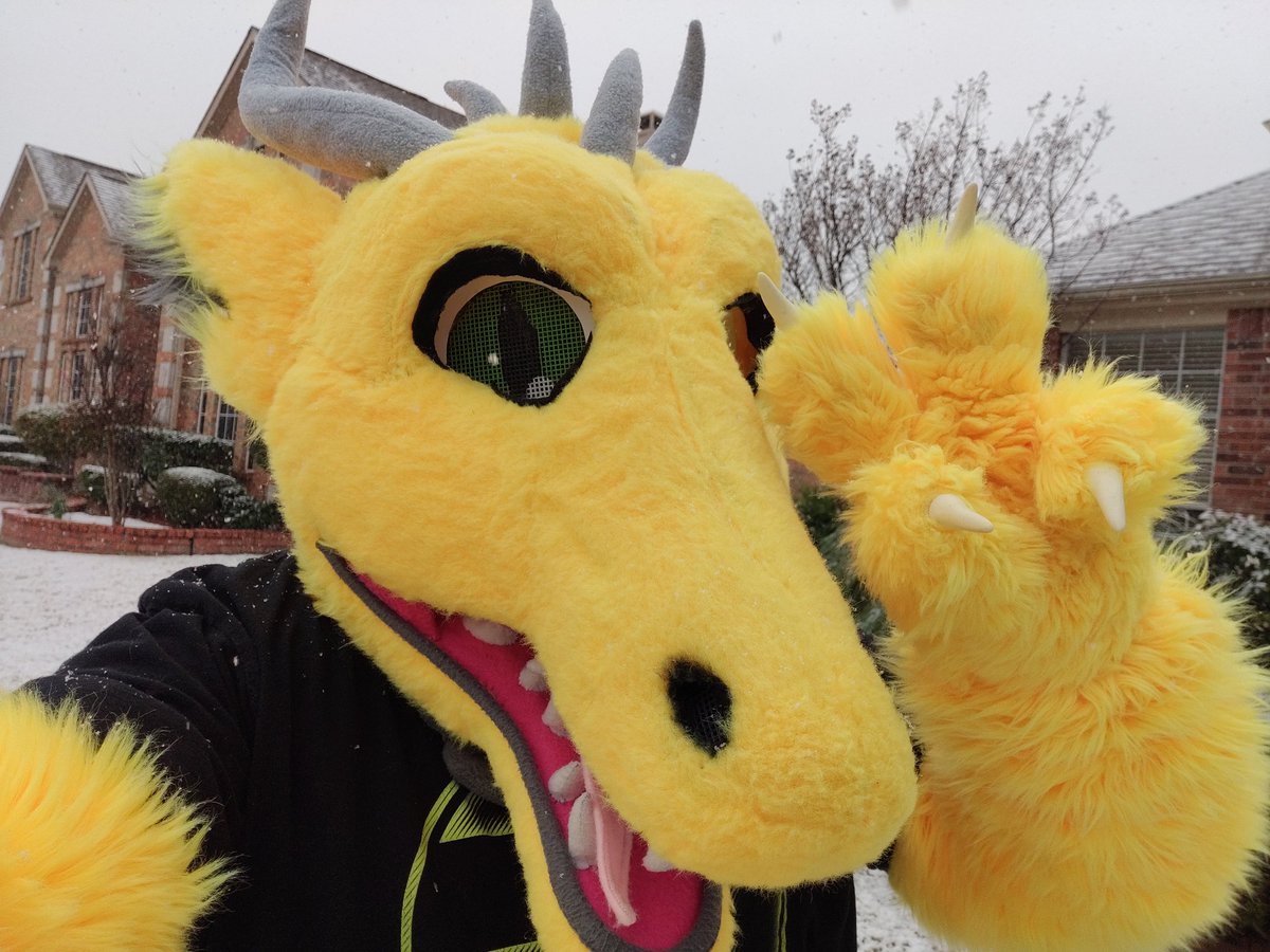 KryptonSvingar's tweet photo. Catching snowflakes with my tongue! #snow #dfwwx #txwx #fursuit #suitingsunday #furry #planowx https://t.co/Z6vmhvKROr