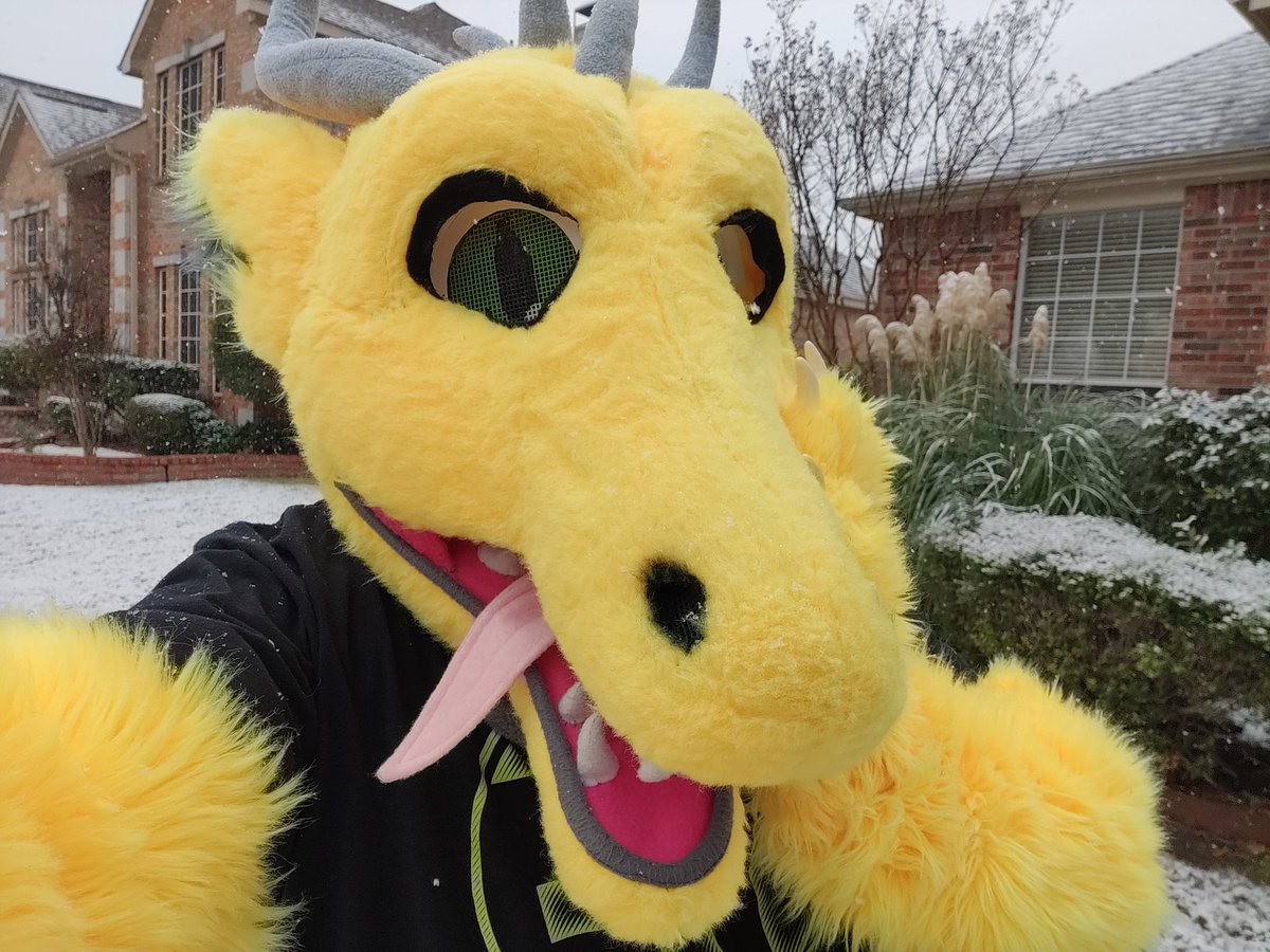 KryptonSvingar's tweet photo. Catching snowflakes with my tongue! #snow #dfwwx #txwx #fursuit #suitingsunday #furry #planowx https://t.co/Z6vmhvKROr