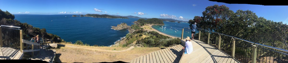bradypt's tweet photo. #NZHellhole https://t.co/NffVXBiYWZ