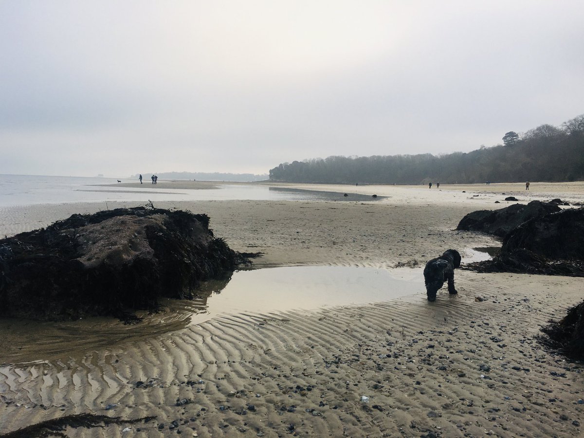 Tranquility on the Isle of Wight ⁦<a href="/coastmag/">Coast Magazine UK</a>⁩ ⁦<a href="/onthewight/">OnTheWight: Isle of Wight News</a>⁩ ⁦<a href="/seaviewIOW/">Seaview IOW</a>⁩ ⁦<a href="/VisitIOW/">Visit Isle Of Wight</a>⁩ ⁦<a href="/HovertravelLtd/">Hovertravelltd</a>⁩ <a href="/wightlink/">raymond blackman</a> ⁦<a href="/RedFunnelFerry/">Red Funnel (IoW Ferries)</a>⁩