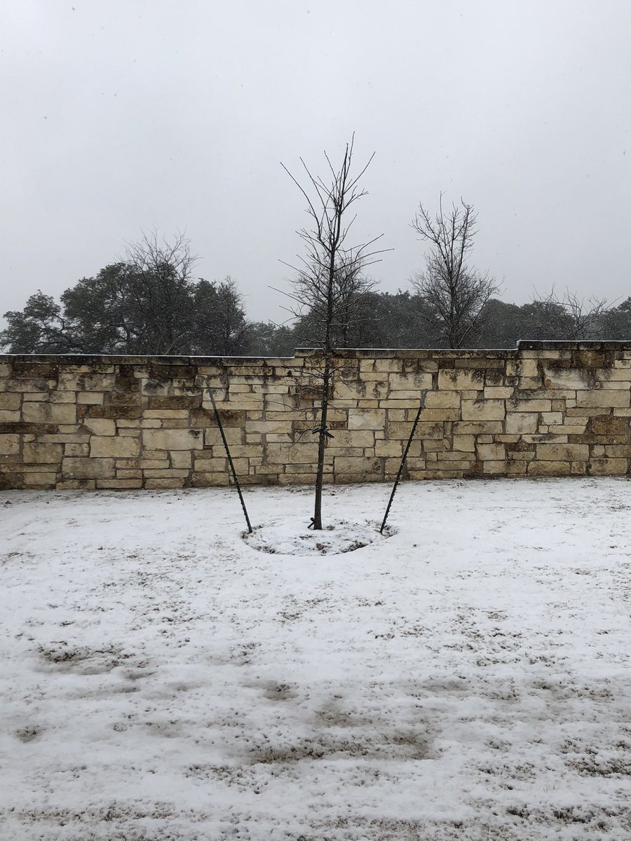 maxeyha's tweet photo. @KUT @dance_oKay Around 1:30 this afternoon in South Austin https://t.co/gSQN6BSk43