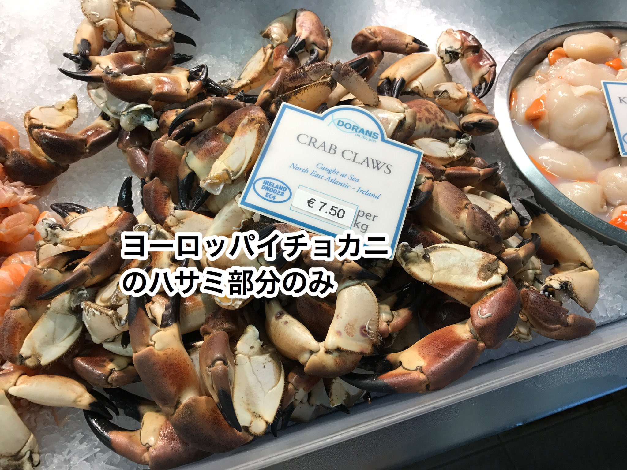 プリヒル姉さん ロンドン魚屋 名の通り脂のりがすごくめちゃくちゃ美味しいのですが アブラソコムツや バラムツでない事を祈ります ヨーロッパお魚図鑑 プリヒル姉さんのたぶん役に立つお魚情報 Twitter