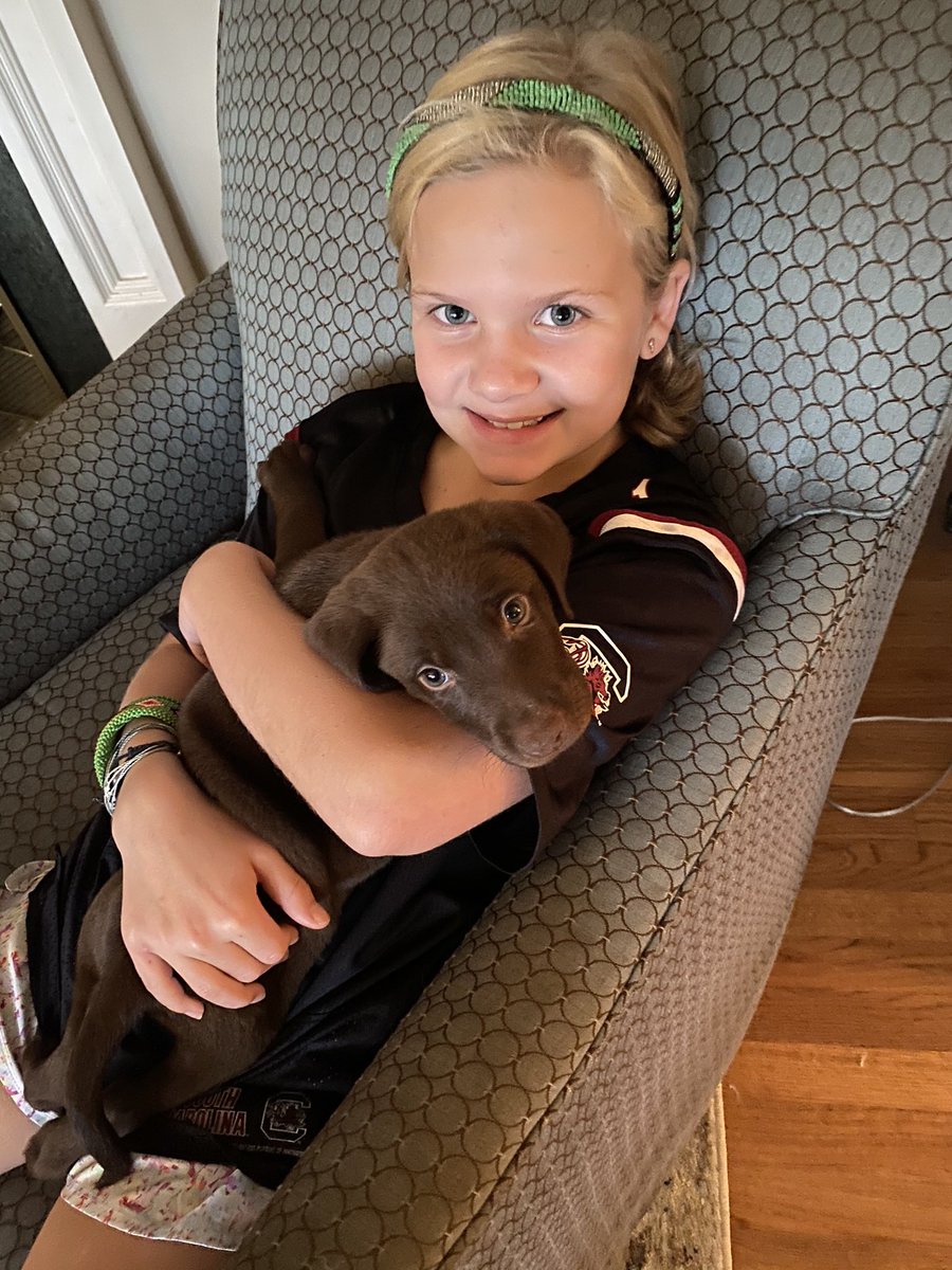 Stephen Lincoln tweet media