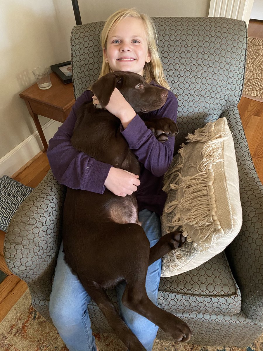 Stephen Lincoln tweet media