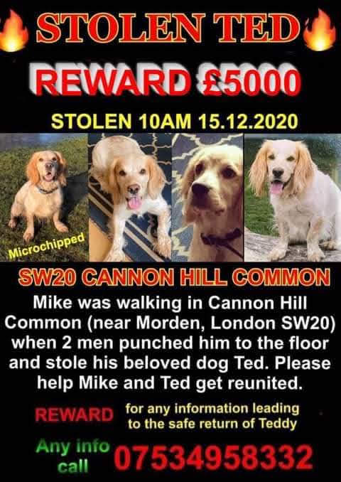 BorderTess's tweet photo. Please #retweet Let's try and get Ted found and brought home to his family. That one extra tweet may just be the one that brings him home. #bringtedhome https://t.co/mDavtq5gWa