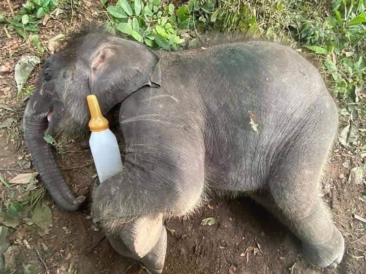 You just know that’s a baby 🍼 ❤️❤️❤️❤️❤️❤️❤️❤️❤️❤️❤️