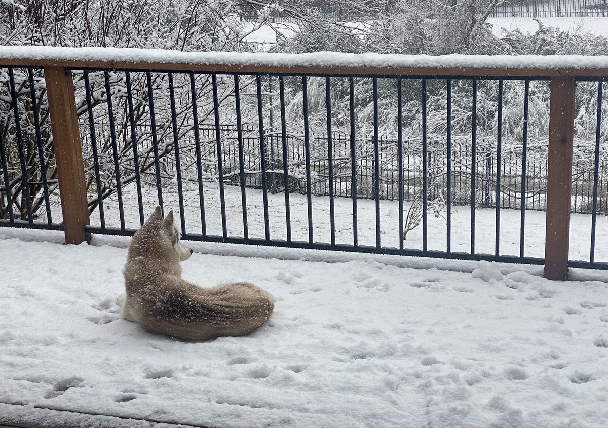 Living her best Austin, TX  life. #ATX