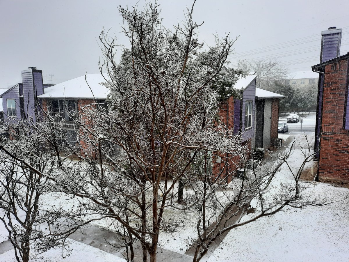 johnisdancing's tweet photo. Snow day in #Austin! 

#AustinBlizzard https://t.co/Sx2ZIHv7Ys