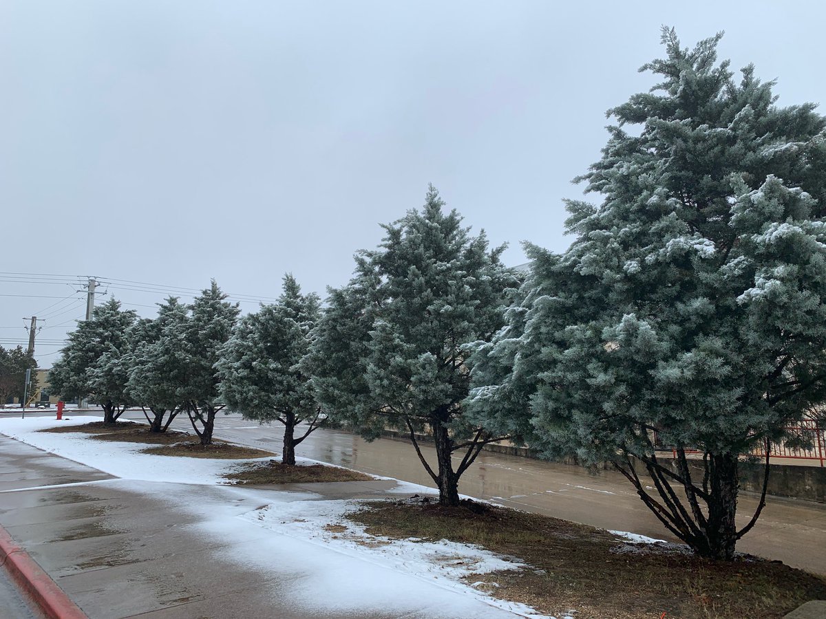 Dripping Springs Middle School tweet media