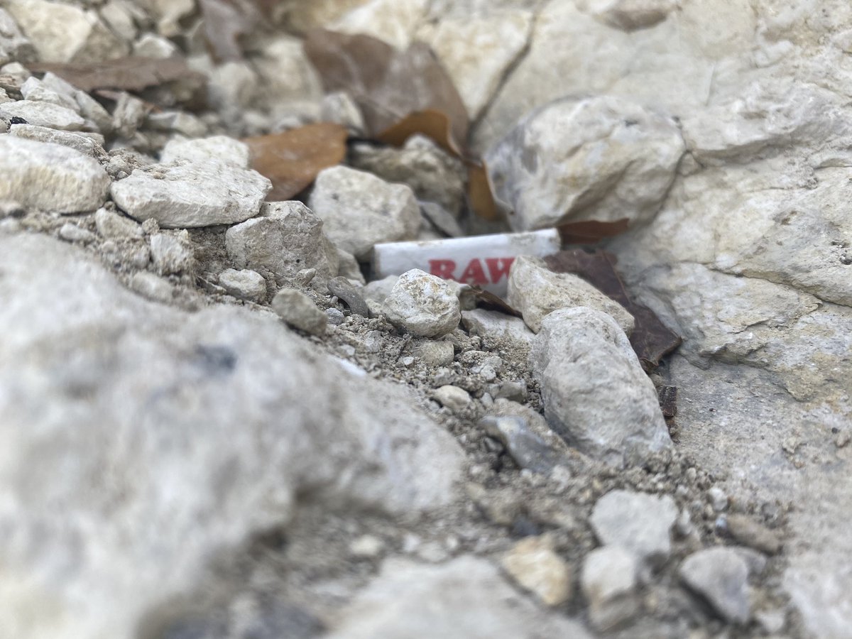 Dr B Lunt tweet media