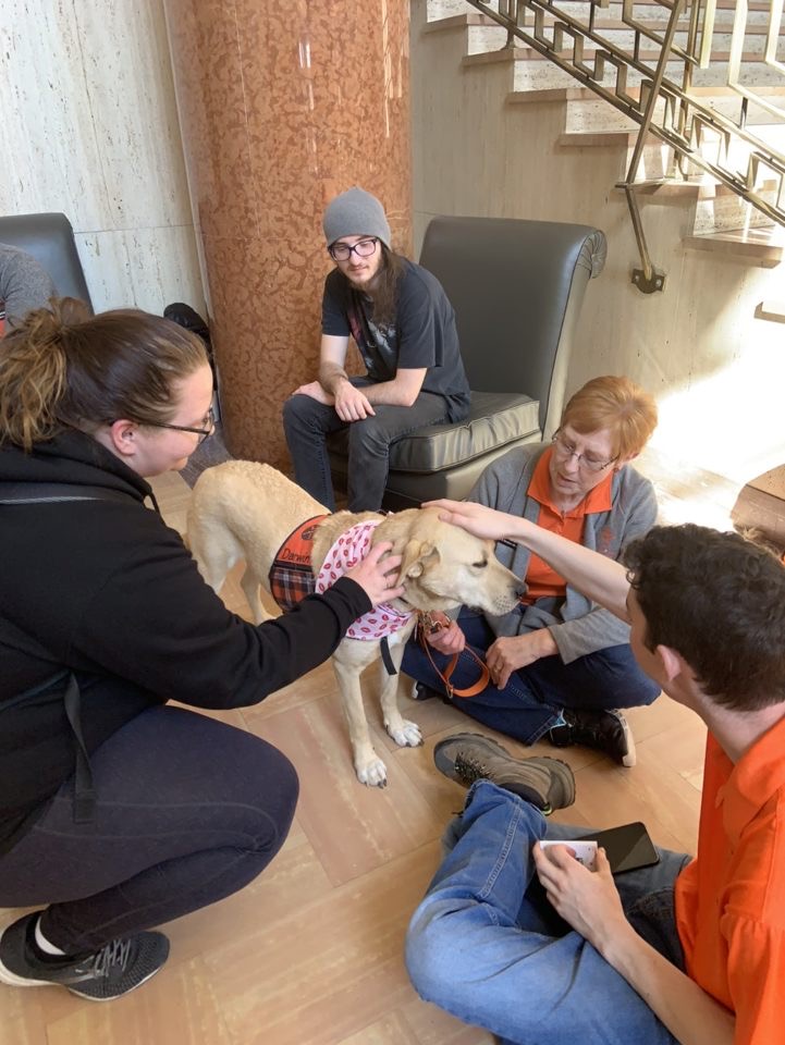 Pets4Pete's tweet photo. Pete's Pet Posse has touched 250,000 human lives. This number reflects physical touches only and does not include number of people reached through social media, presentations, videos or other publications. #P3Fact #okstate #pettherapy https://t.co/ZB2ITdErud