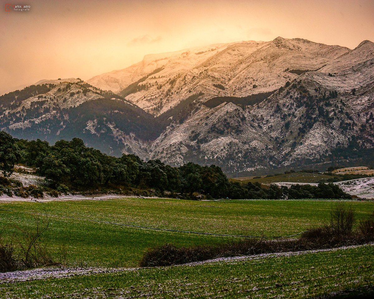 La parte bonita del temporal #Filomena ❄️☃️. Nevada en Sierra Tejeda ☺️ <a href="/SonyEspana/">Sony España</a> <a href="/tiempobrasero/">Tutiempo</a> <a href="/ConsorcioTejeda/">Cons.Tejeda-Almijara</a> <a href="/spain/">Spain</a> <a href="/viveandalucia/">Vive Andalucía</a> <a href="/TurismoAndaluz/">Turismo Andalucía</a> <a href="/andaluciaparais/">andaluciaparaiso ❤</a> <a href="/Ole_Andalucia/">OléAndalucía</a> <a href="/ecazatormentas/">Cazatormentas</a> <a href="/AEMET_Esp/">AEMET</a> <a href="/AEMET_Andalucia/">AEMET_Andalucía</a>