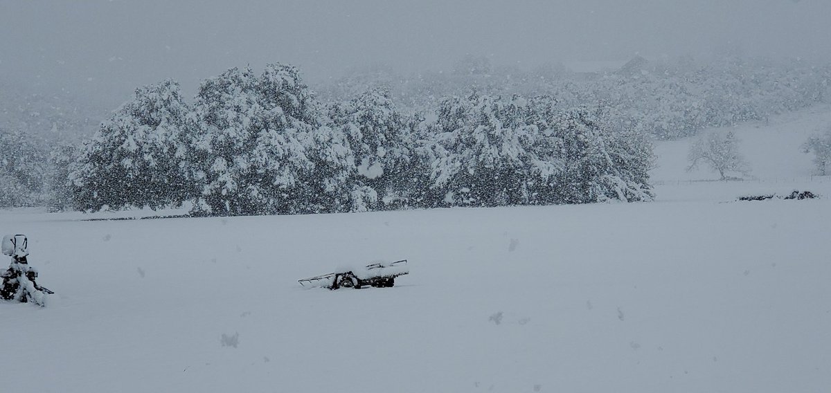 Becky Goolsby tweet media