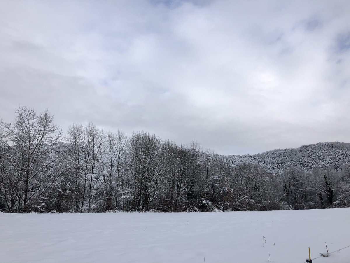 mbonamaison4's tweet photo. Imatges que ens deixa la Filomena.

📌Sant Iscle de Colltort.

@MeteOIot @Radiolot @meteogarrotxa @tv3cat @elgarrotxi_cat @meteocat @eltempsTV3 @324cat @olotelevisio @catexperience https://t.co/l8nglP2lwU