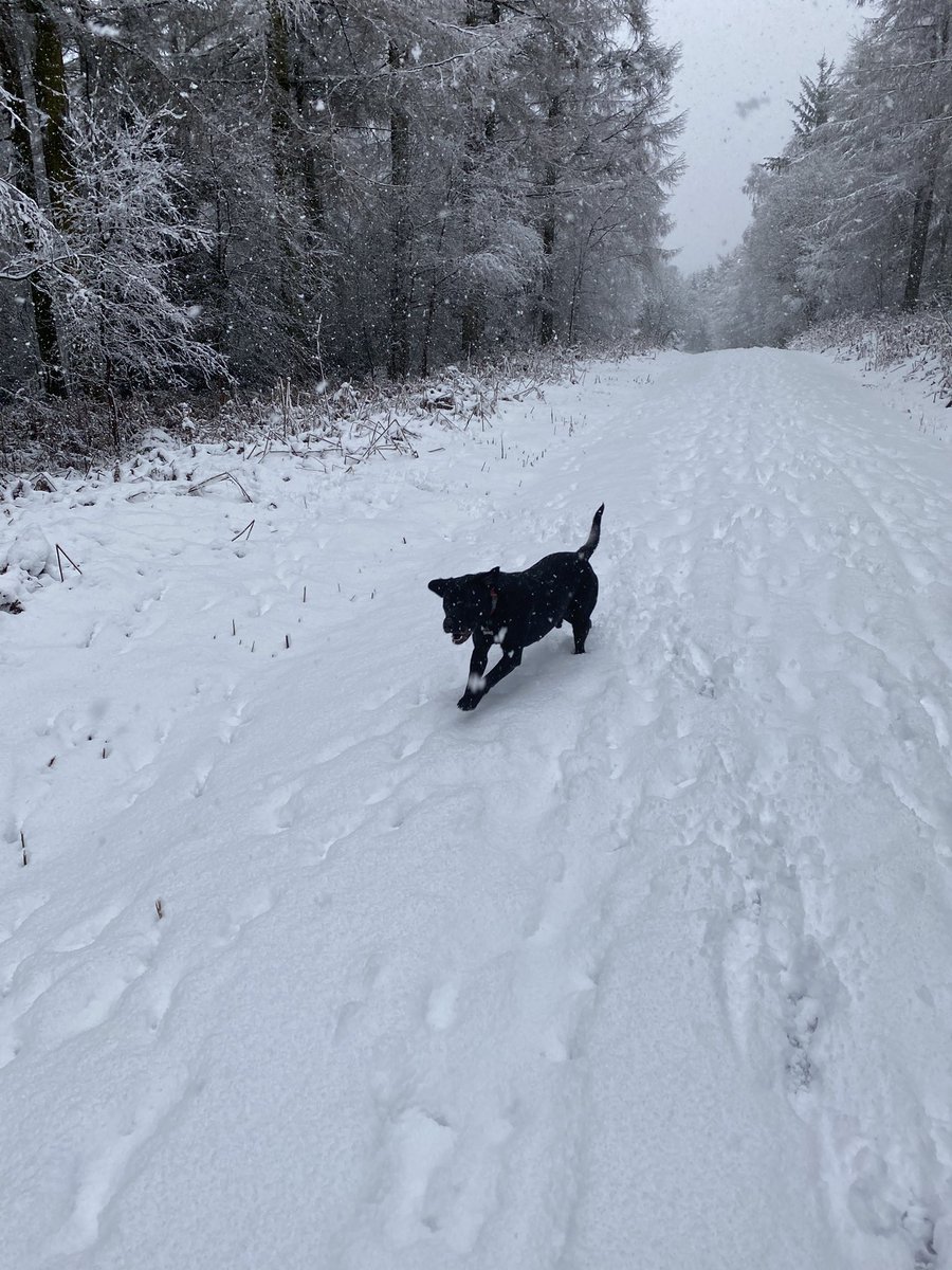 DesignerSmith's tweet image. Our home in the Howardian Hills...a beautiful snowy winter #wonderland! #snow #snowfun