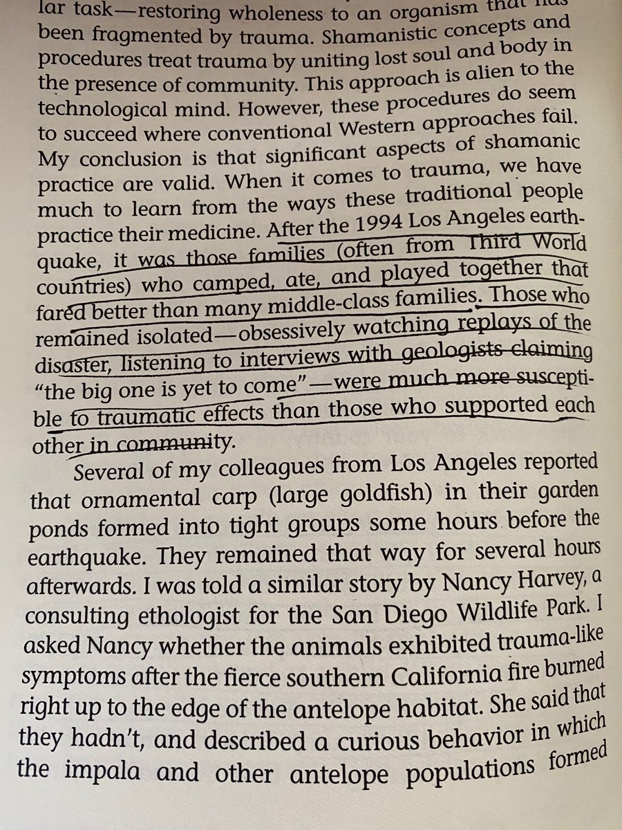 Yes Theory (@yestheory) on Twitter photo 