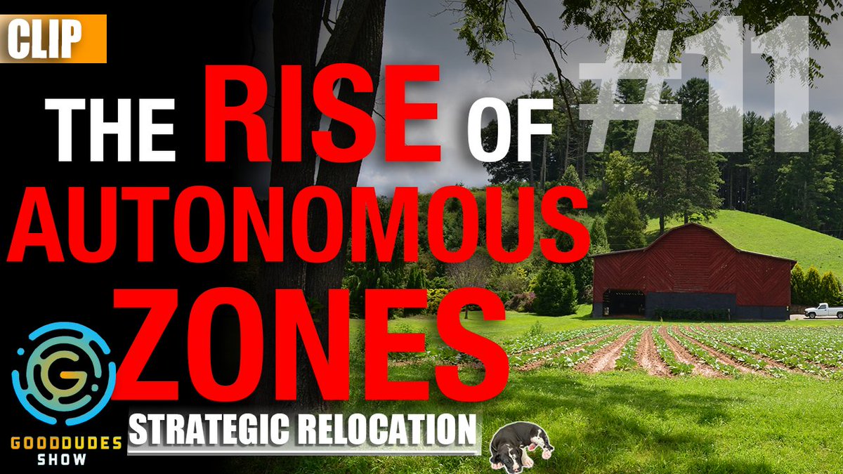 GoodDudes2020's tweet image. The Rise of Autonomous Zones: Strategic Relocation | Good Dudes Show #11... youtu.be/w4LFDahHemM via @YouTube 

#StrategicRelocation #JoelSkousen #GoodDudes #GoodDudesShow #AutonomousZones #Homesteading #dissidentright