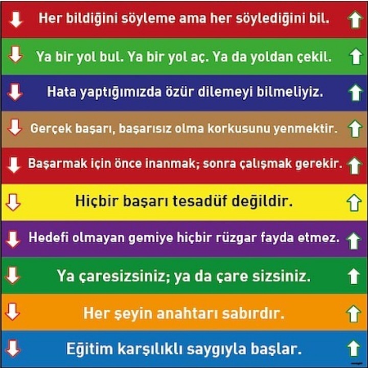 Bahcesehirders (@bahcesehirders1) on Twitter photo 