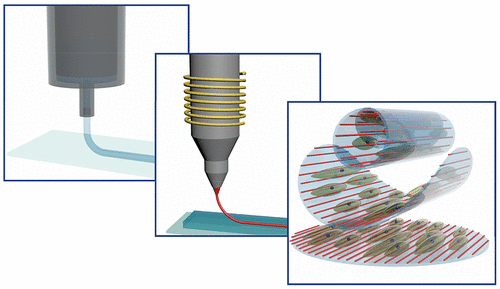 Congratulations to @IonovLab por this inspiring publication on on #MeltElectrowiting for #TissueEngineering applicathttps://support.twitter.com/articles/20156423ions!