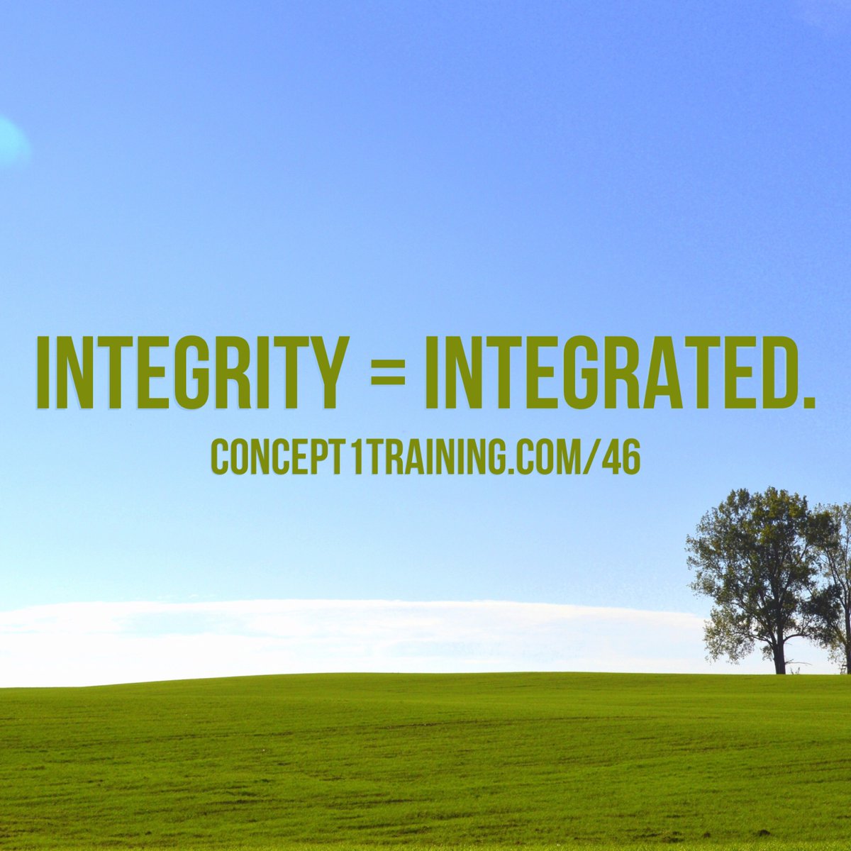 joshfriberg's tweet photo. Integrity = Integrated. https://t.co/W529PVl7gy https://t.co/5nWpiI8W1C