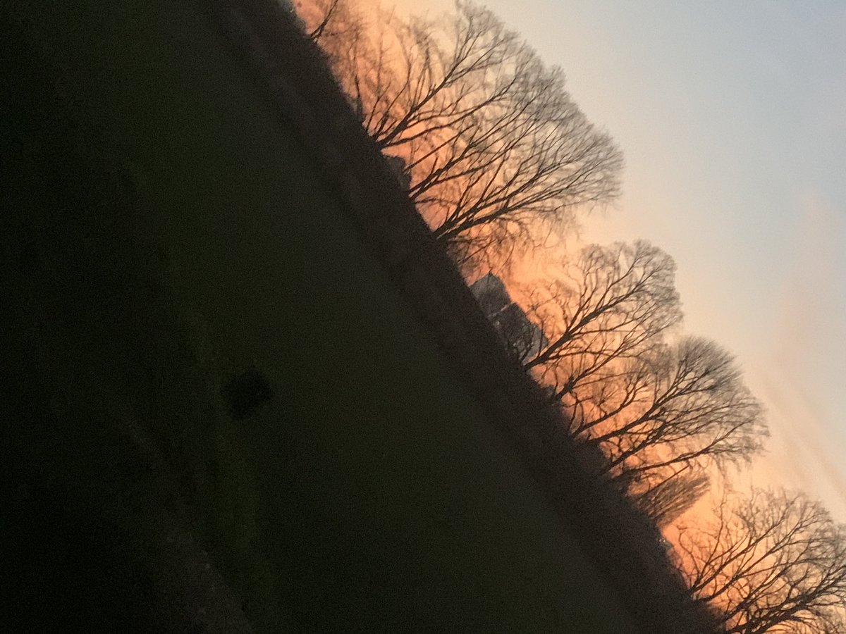 Mandybeyer7's tweet photo. @LEOacademies #winterphotocompetition cam’s been snapping away https://t.co/BXAK3w6f3I
