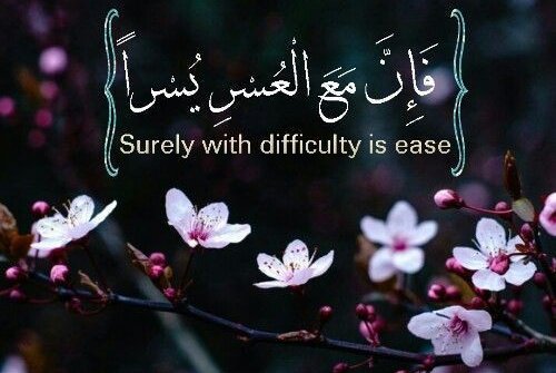 Muntazir Husayn tweet media