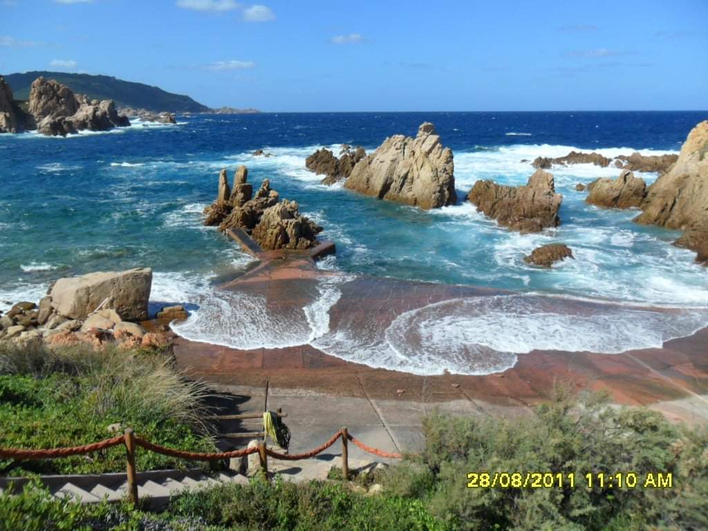 ledvanova's tweet photo. Hi friends! Welcome to my personal page. All-day I was talking about Sardinia. It was pretty enough interesting. Enjoy and ask me about friendship, I will answer with a positive response! 😊
https://t.co/qHkGIxHygl

#Sardinia #Italy https://t.co/vCjxOAIQ90