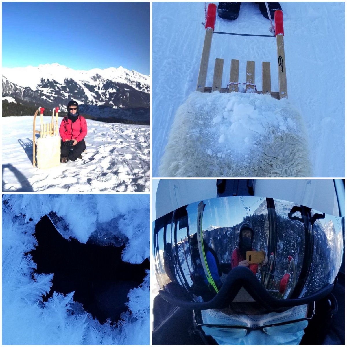 SusanBincoletto's tweet photo. Journée ensoleillée au court du #berneroberland l@GrindelwaldCH @JungfrauRegion #kleinescheidegg #eigerexpress @MySwitzerland_e https://t.co/eNnyKcC9Uj