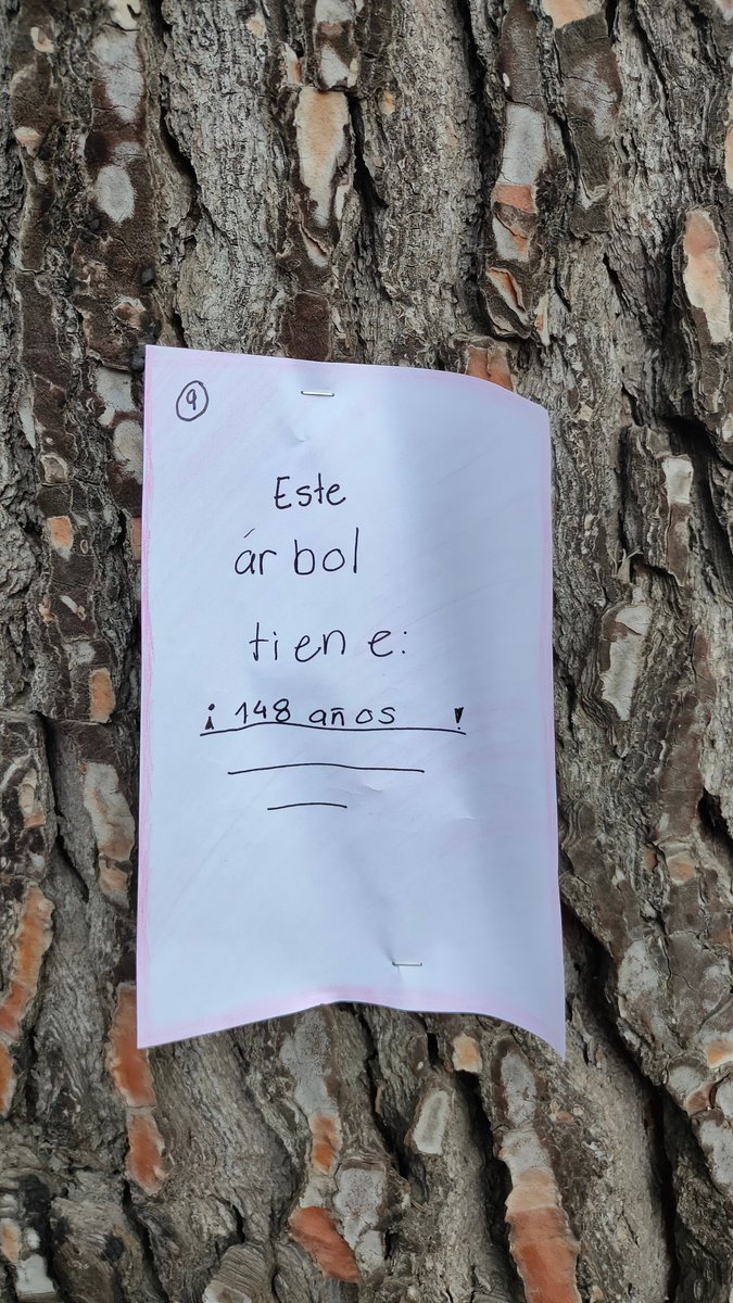 BoscSos's tweet photo. 148 anys!! Tot un veterà del bosc! Per molts anys! #SosBoscVolpelleres treballa per assegurar la teva integritat i la del teu bosc. #PerMoltsAnysBoscDeVolpelleres #elboscesqueda #BoscesVida #BoscesSalut #SosBoscVolpelleres. Gràcies, Sant Cugat! https://t.co/YvupiT3xCU