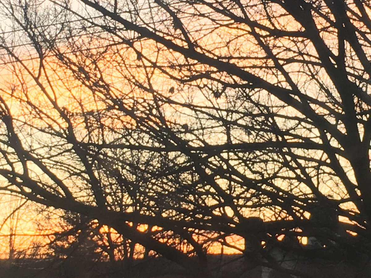 ErinsoroS's tweet image. Okay, enough #mla2021 for me.  

Sky panel.