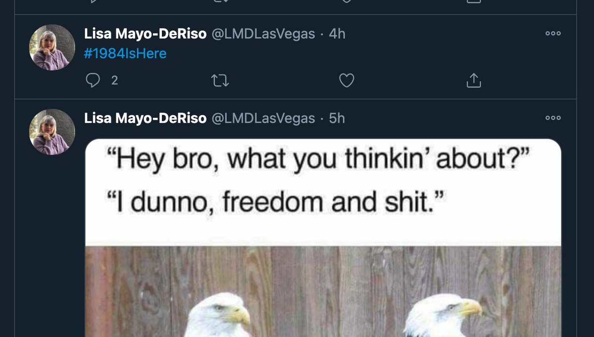 And... a relatively unknown political insider known as  @LMDLasVegas - who by my estimate has pulled down at least $2 Million in Consulting. Just to give you an idea of what we are dealing with here: