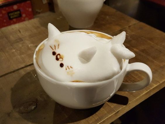 seokuva's tweet photo. cute animals in cups of coffee ☕️ https://t.co/ydOvRNNNIy