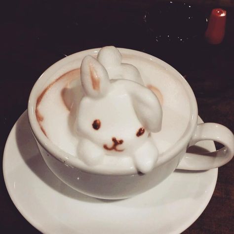 seokuva's tweet photo. cute animals in cups of coffee ☕️ https://t.co/ydOvRNNNIy