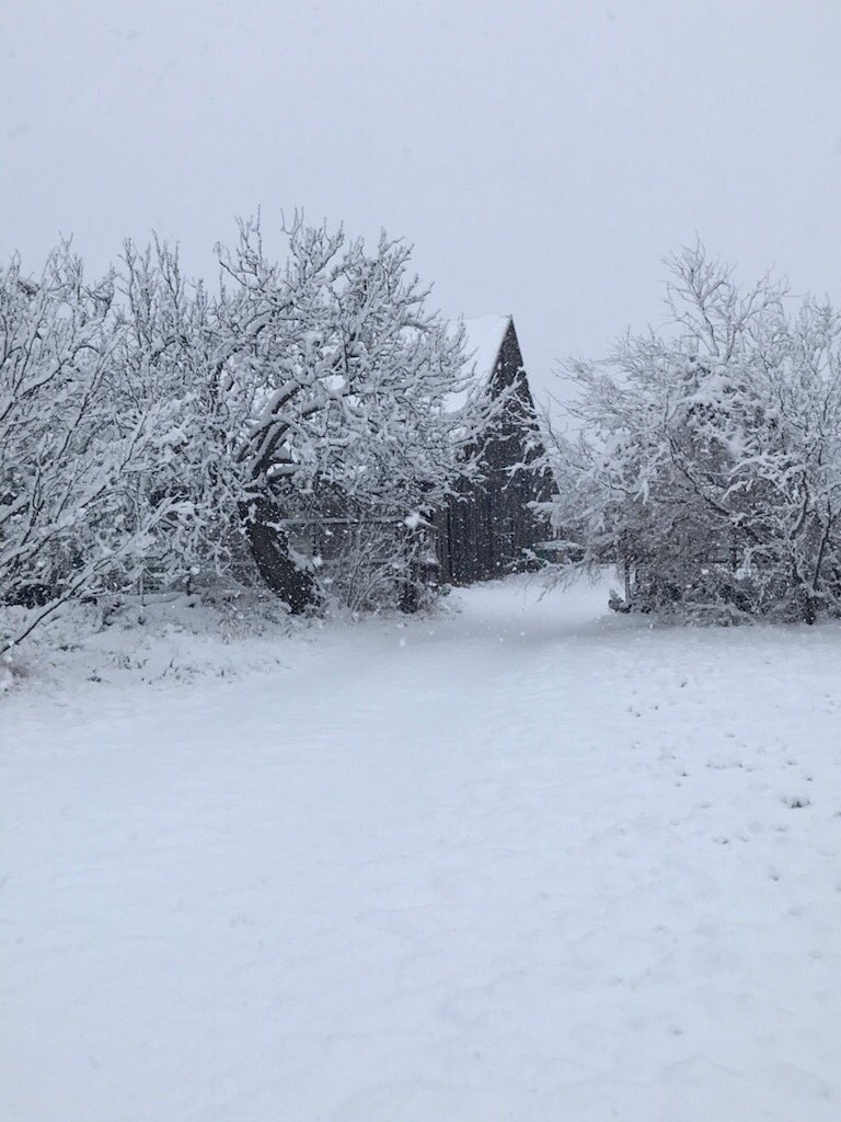 bericevans's tweet photo. The art of the “30 Day Snooze” is a great mental health moment that keeps giving....and here is some snow from the Hundred Acre Woods on Lake Brownwood https://t.co/sC6rc5OKvL