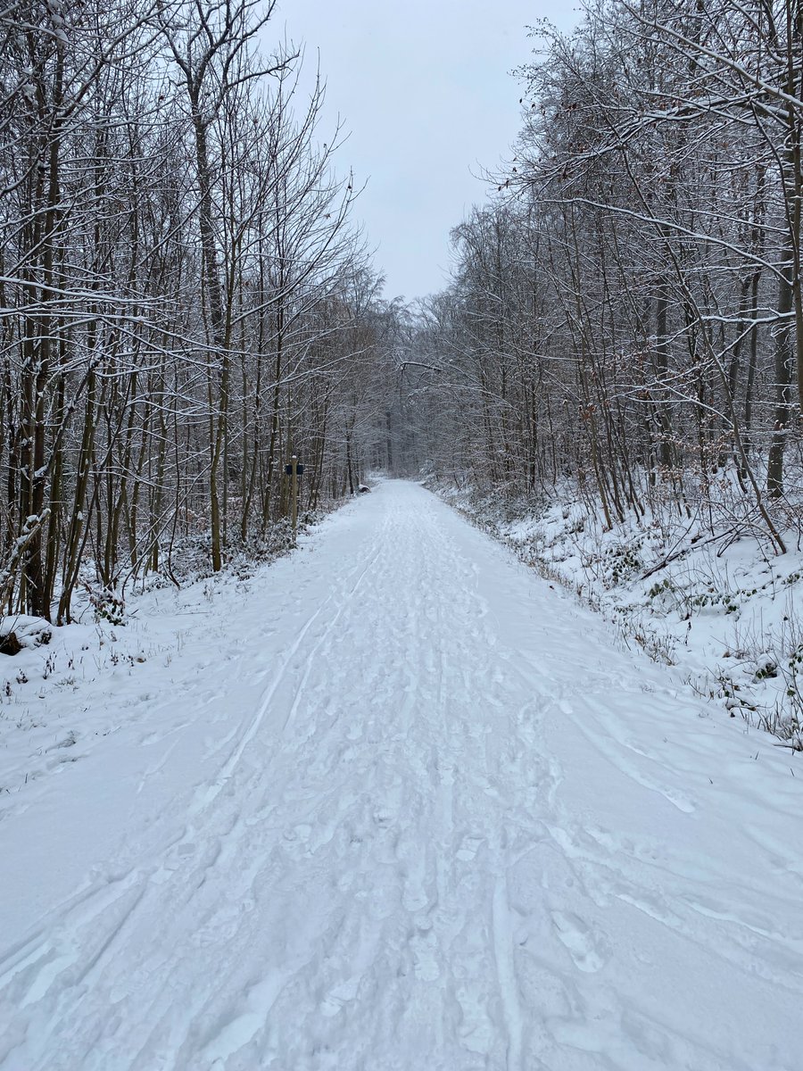 SchoolStuttgart's tweet photo. A very welcomed snowfall yesterday in Stuttgart with people sledding, skiing and even riding their bikes.
#snowfall #Stuttgart #thelearningcontinues https://t.co/9uisxGhFW4