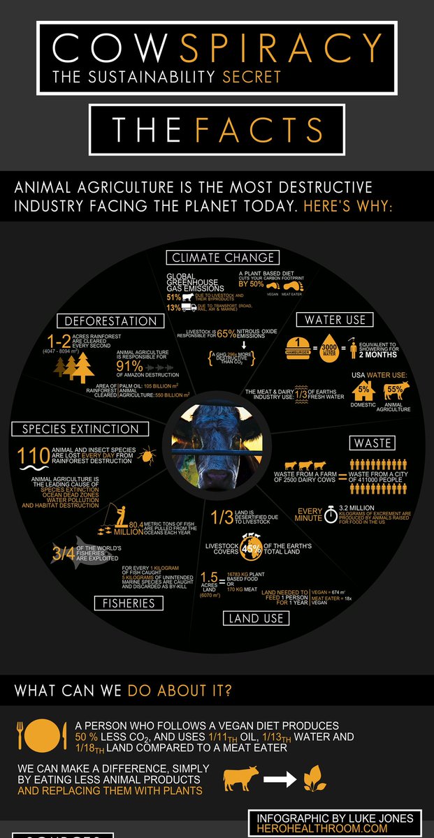 BO__AM's tweet image. ทุกคน ไปดูสารคดีcowspiracy กันเถอะ ละหันมากิน plant based กัน ไม่ใช่ว่าจะทำให้มลพิษหายไป แต่อย่างน้อยก็ลดลงได้มากโข
