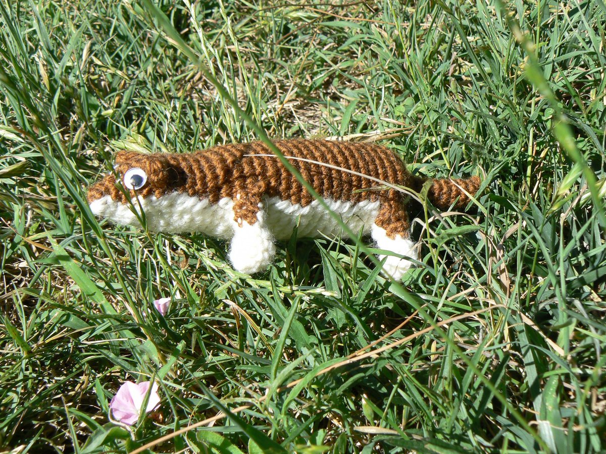 Elias Bouchard (photo not available)