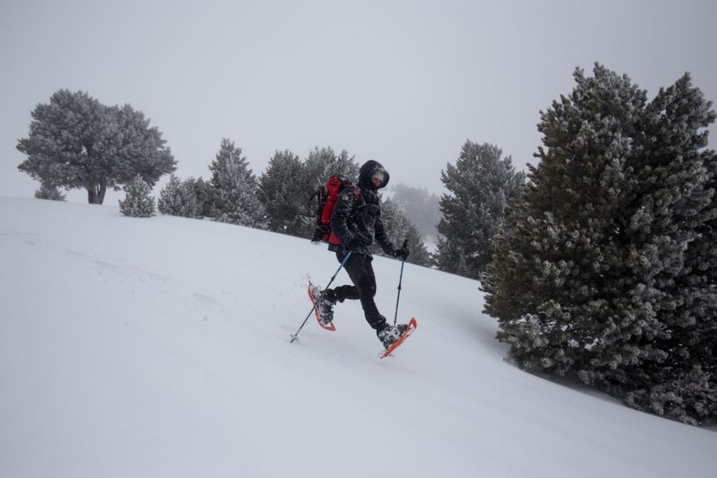 #MondayMotivation Bientôt vendredi ! Nous, dans la tête, on a des raquettes. Des raquettes pour crapahuter sur les hauts plateaux du Vercors tout le week-end. Si vous aussi, contactez @chilowe_ les créateurs de #microaventure. 📸 : @MatthieuTordeur