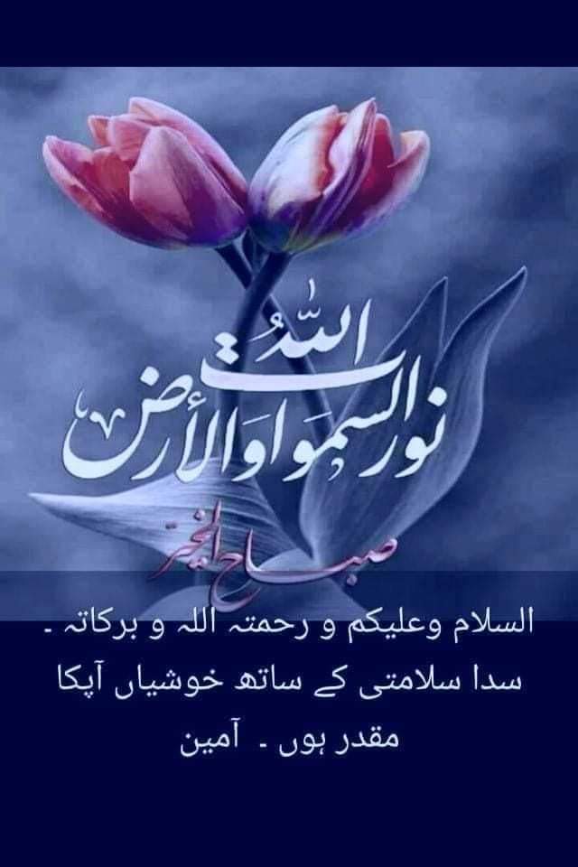 GAkhanofficial's tweet photo. Hello everyone, good morning to all my friends I'm G A Khan and I wish you all good morning, may Allah bless you and your family with charity.#blessed #beautiful #PakistanMovingForward #quotes #goodmorning #LetsJoinTLP #مارخورز #لبیک_پرموشن https://t.co/Q3IGpXQ70U