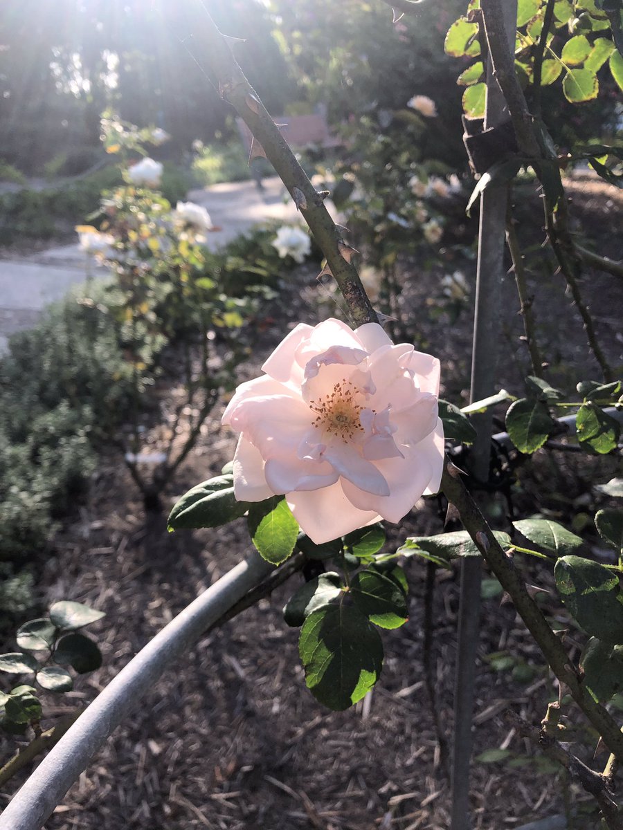 Some of the beauty of today