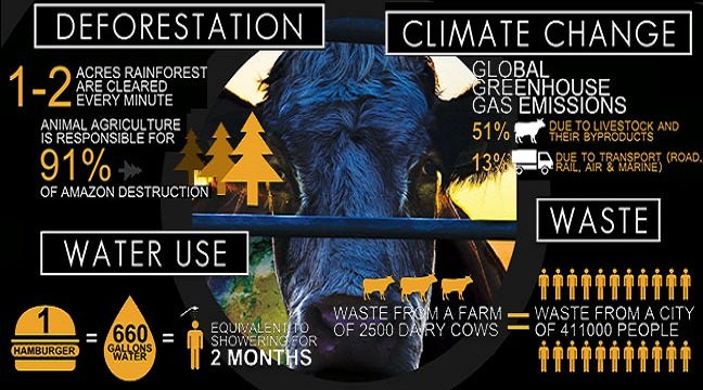 BO__AM's tweet image. ทุกคน ไปดูสารคดีcowspiracy กันเถอะ ละหันมากิน plant based กัน ไม่ใช่ว่าจะทำให้มลพิษหายไป แต่อย่างน้อยก็ลดลงได้มากโข