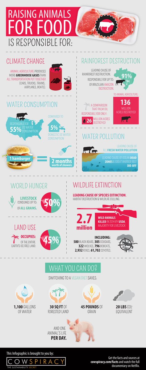 BO__AM's tweet image. ทุกคน ไปดูสารคดีcowspiracy กันเถอะ ละหันมากิน plant based กัน ไม่ใช่ว่าจะทำให้มลพิษหายไป แต่อย่างน้อยก็ลดลงได้มากโข