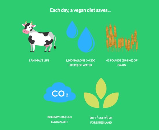 BO__AM's tweet image. ทุกคน ไปดูสารคดีcowspiracy กันเถอะ ละหันมากิน plant based กัน ไม่ใช่ว่าจะทำให้มลพิษหายไป แต่อย่างน้อยก็ลดลงได้มากโข