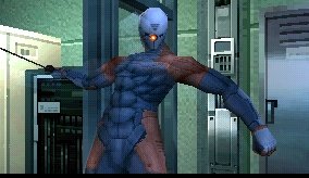Gray Fox