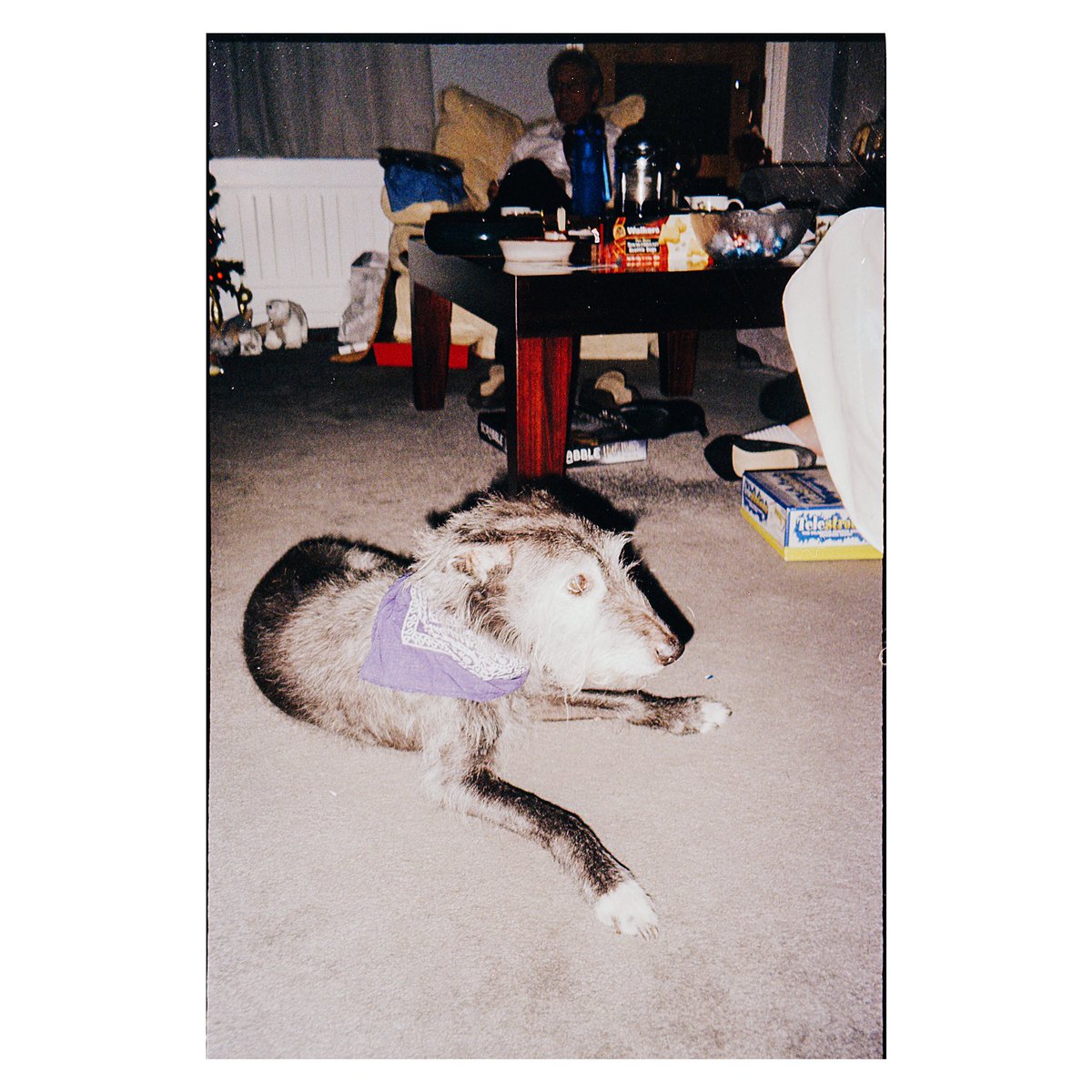 _mhjs's tweet image. christmas on film 🎞 

instagram.com/p/CKLaxjmH3yC/…